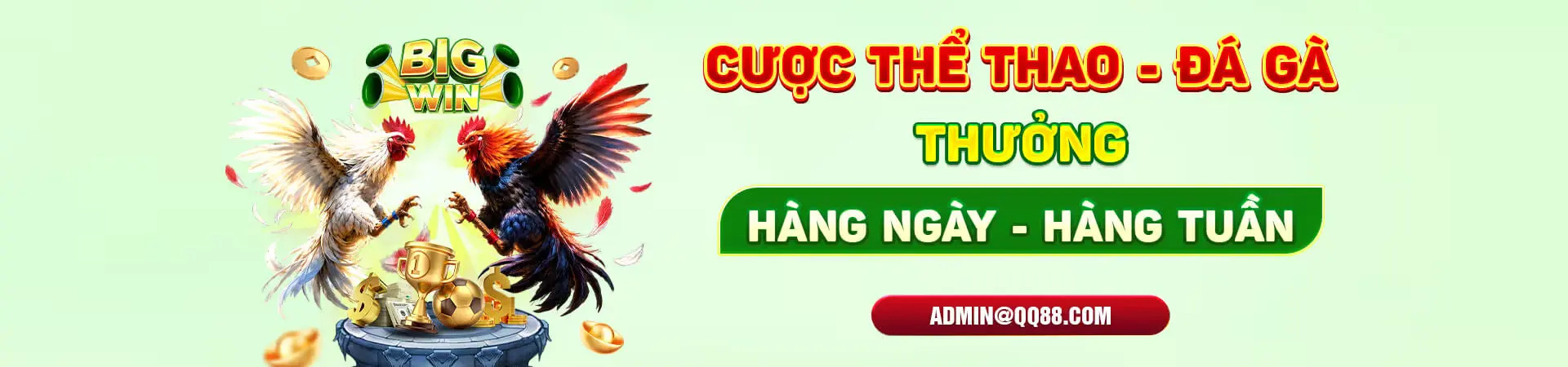 CƯỢC THỂ THAO ĐÁ GÀ HÀNG TUẦN